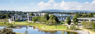 A pond and small park, and a building in the background